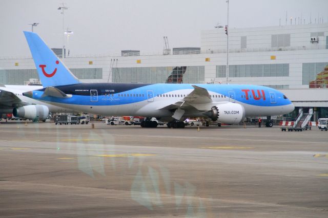 Boeing 787-8 (OO-LOE)