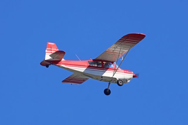 CHAMPION Tri-Traveler (N5054B) - In pattern over Palo Alto Airport