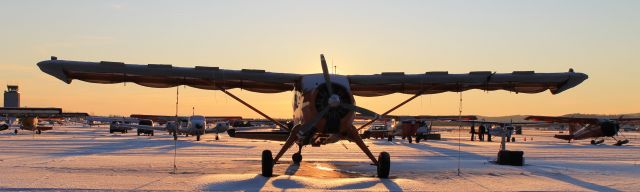 De Havilland Canada DHC-2 Mk1 Beaver — - Beaver Silhoutte with a setting sun.