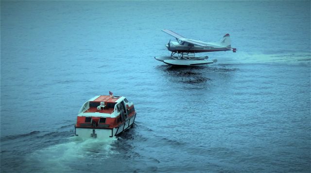 De Havilland Canada DHC-2 Mk1 Beaver (N1117F) - 1958 DHC-2 MK1