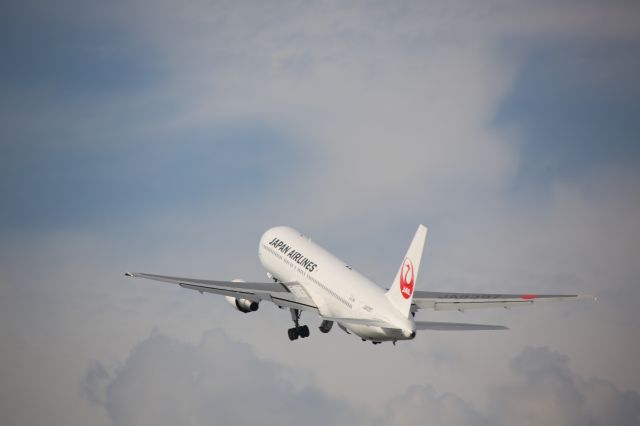 JA8397 — - JAL