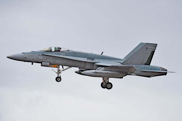 Boeing Hornet (A2126) - McDonnell FA-18A RAAF serial A21-26, 75 sqn. YPEA 21 February 2020.