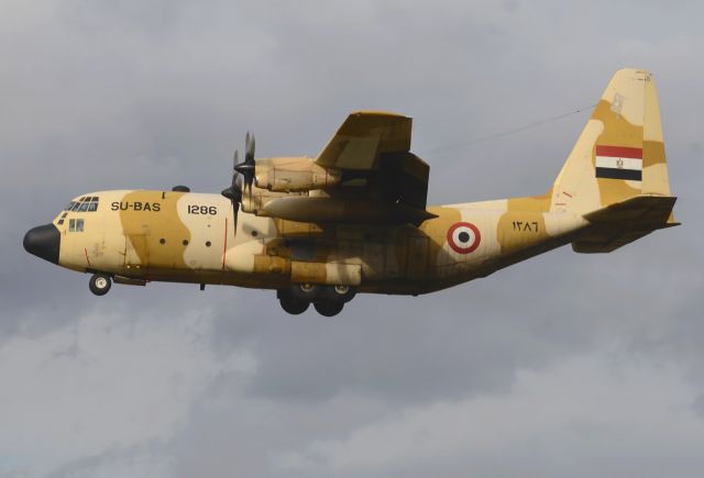 Lockheed C-130 Hercules (SU-BAS)