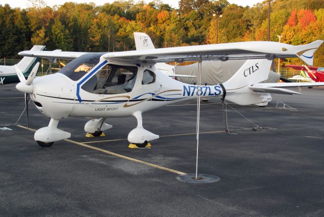 N787LS — - These light sport aircraft have a remarkable performance!