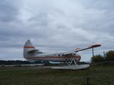 N81FW thumbnail