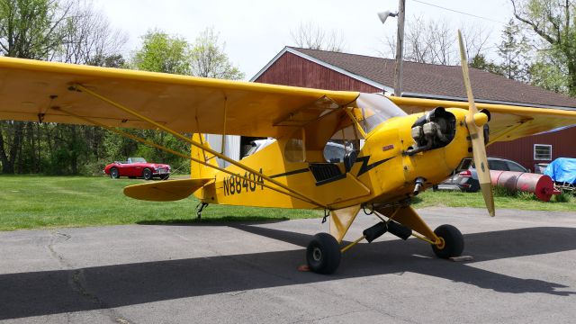 Piper NE Cub (N88404)