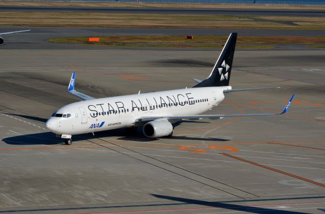 Boeing 737-800 (JA51AN)