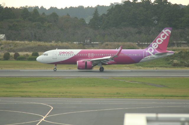 Airbus A320neo (JA216P) - Nov 04,2024br /APJ622 TPE→NRT