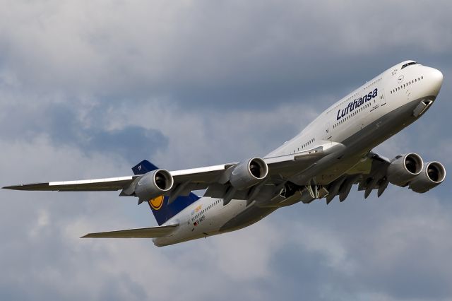 BOEING 747-8 (D-ABYP) - the queen, 