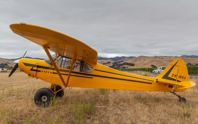 Piper L-21 Super Cub (ZK-BVJ)