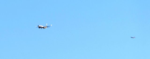 Boeing 737-900 (N453AS)