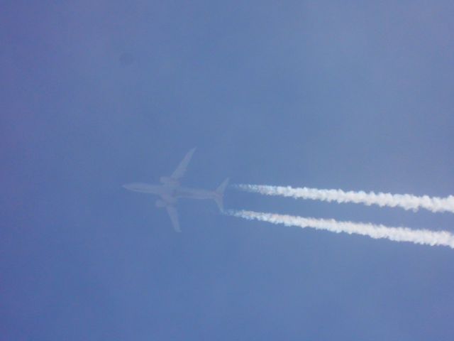 Boeing 737-800 (N974AN) - AAL2412br /DFW-ORDbr /04/10/22