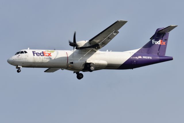 N821FX — - 23-R 08-11-23