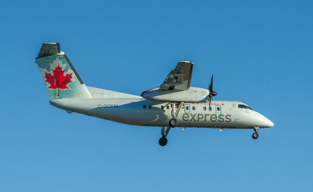 de Havilland Dash 8-100 (C-GONN)