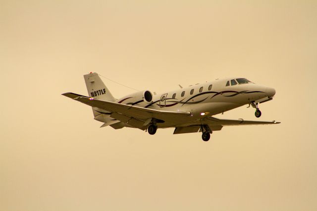 Cessna Citation Excel/XLS (N817LF)