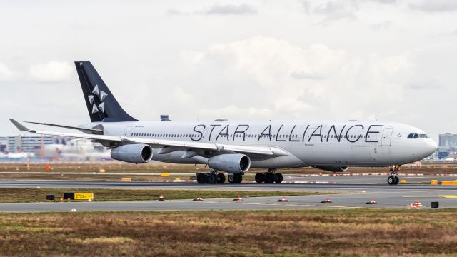 Airbus A340-300 (D-AIGP)