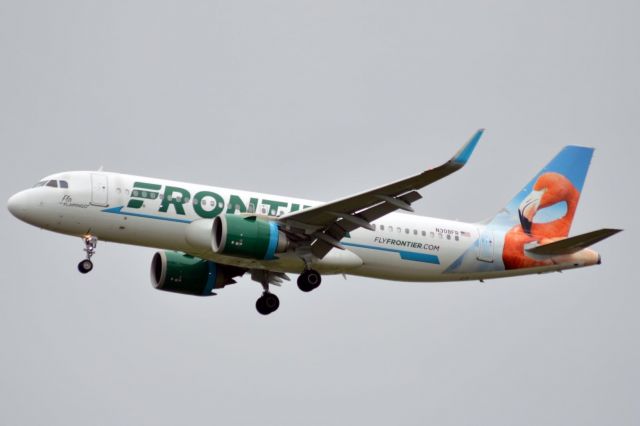Airbus A320neo (N308FR)