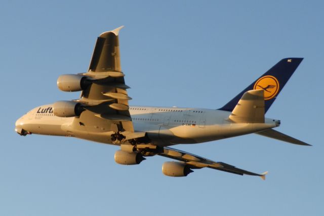 Airbus A380-800 (D-AIME)