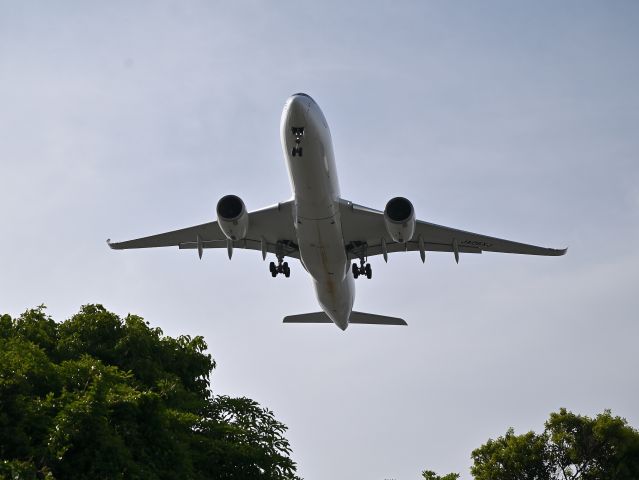 Airbus A350-900 (JA06XJ) - May 26, 2024br /Japan Airlines, Airbus A350 (JA06XJ).br /Landing at RWY16R(A).