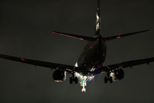 Boeing 737-800 (JA51AN) - December 2nd 2019:HND-HKD.