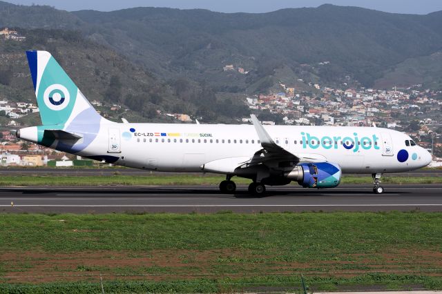 Airbus A320 (EC-LZD)