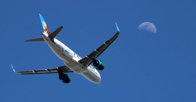 Airbus A320neo (N328FR) - Shortly after departure is this 2018 Frontier Airlines Airbus A320-251N. Checking out the moon is "Scout" the Pine Marten in the Spring of 2021.