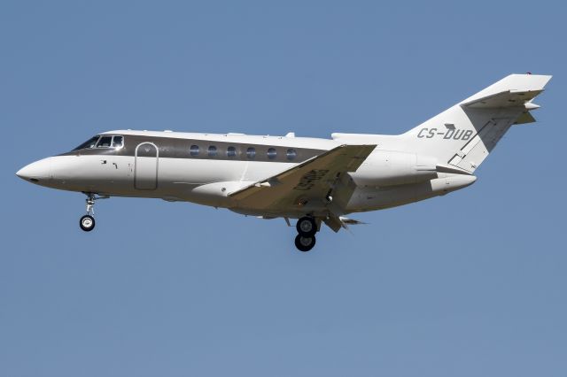 Hawker 800 (CS-DUB)