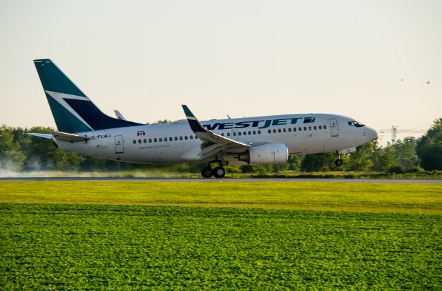 Boeing 737-700 (C-FLWJ) - West Jet flight WJA736 touches down on runway 33 at CYXU London, Ontario Canada.