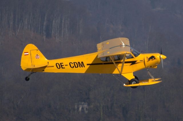 Piper L-21 Super Cub (OE-CDM)