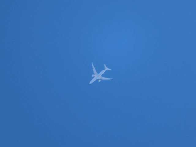 Boeing 787-8 (N966AM) - Aeromexico Boeing 787-8 en route to Mexico City at 31,000 ft