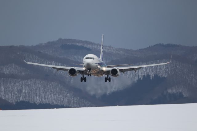 Boeing 737-800 (JA52AN) - December 16th 2018:ITM-HKD.