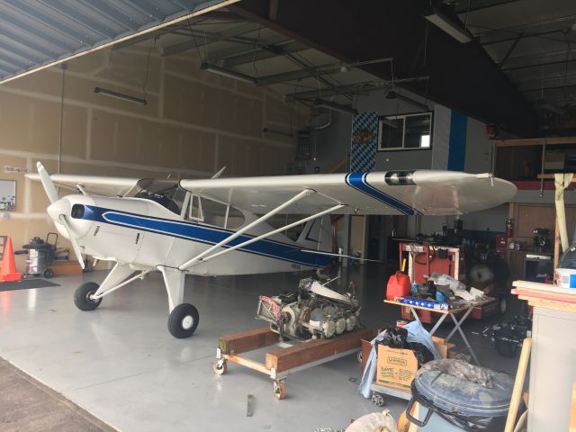 Piper PA-22 Tri-Pacer (N5839Z) - engine swap...??