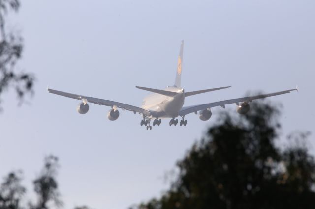 Airbus A380-800 (D-AIML)