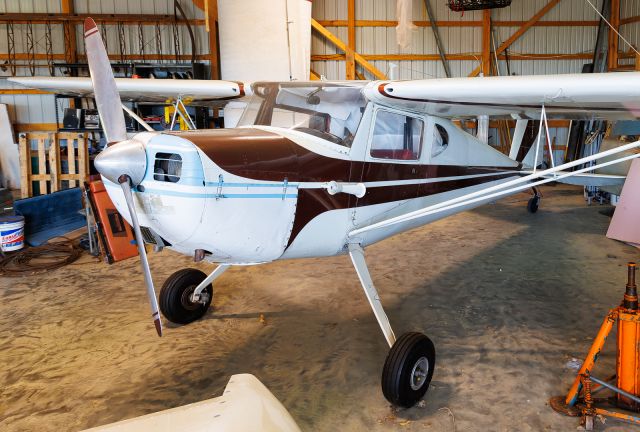 Cessna 140 (N3775V)