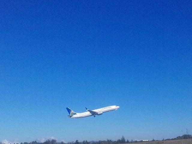 Boeing 737 MAX 9 (HP-9904CMP) - En su operación de la ruta Medellín-Rionegro/Panama-Tocumen 