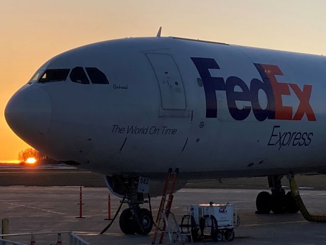 Airbus A300F4-600 (N692FE) - A nose and a sunset with Gabriel as the subject.  