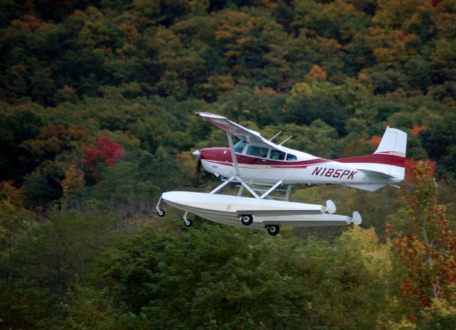 Cessna Skywagon (N185PK)