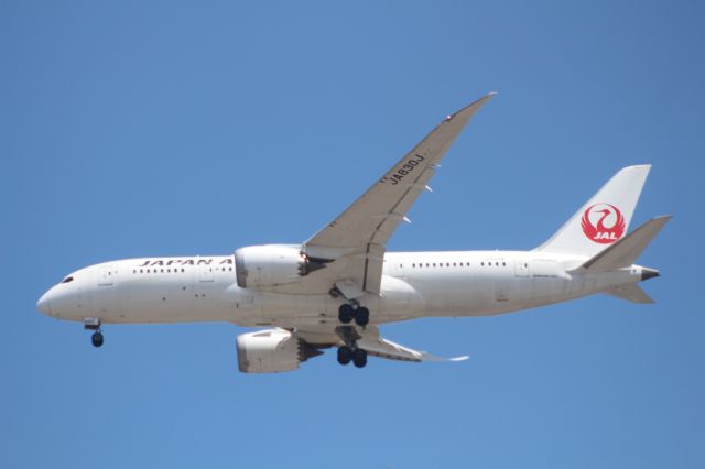 Boeing 787-8 (JA830J) - APROCH KLAX