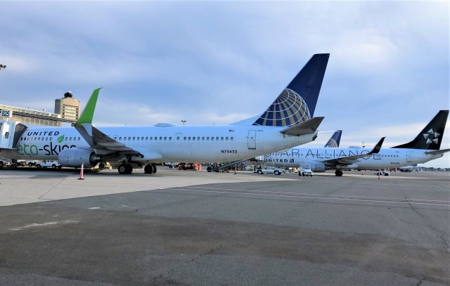 Boeing 737-900 (N75432) - ECO and Star Alliance Specials