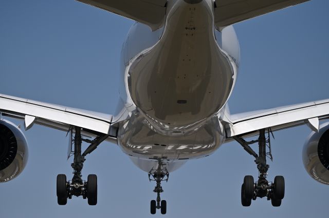 Airbus A350-900 (JA12XJ) - 01.Apr.2023br /Shooting the final landing approach to RWY34L from the Senri River bank !!