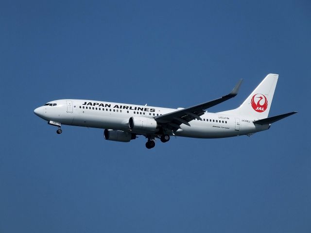 Boeing 737-800 (JA306J)