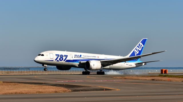 Boeing 787-8 (JA809A)