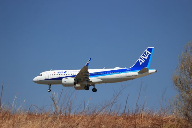 Airbus A320 (JA220A) - April 11th 2021:HND-HKD.