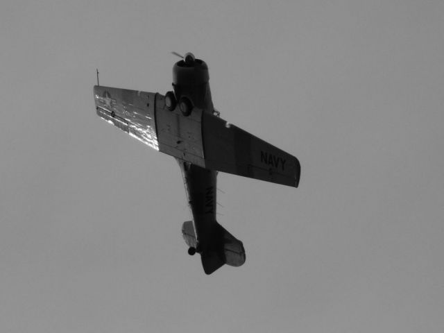 North American T-6 Texan (N9805C)