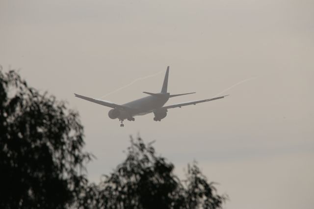 BOEING 777-300ER (HL8210)