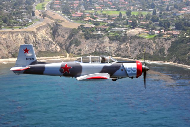 YAKOVLEV Yak-52 (N313YK) - One of the Tiger Squadron planes flying by Lunada Bay, Palos Verdes, CA