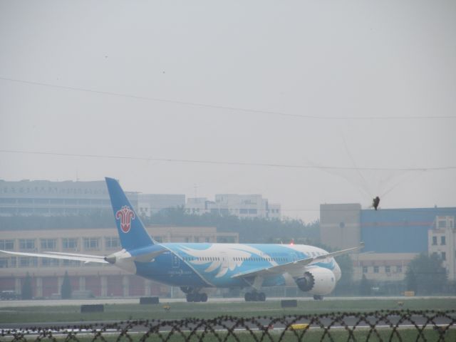 Boeing 787-8 (B-2725) - China Southern Airlines CZ3103 landing in Beijing runway 18R. Best Shot of my life!!! And I found a new plane spotting location, though it is only accessible by a trek through a nearby village and field!