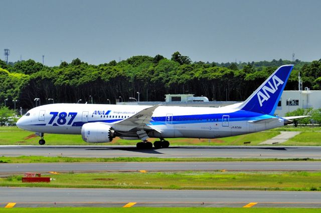 Boeing 787-8 (JA806A) - 2014- TO Run