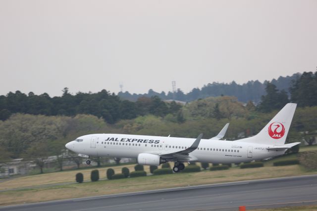 Boeing 737-800 (JA307J)