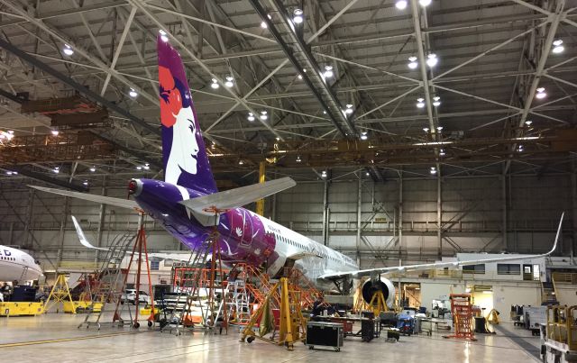 Airbus A321 (N04HA) -  In the united hanger- being patched up -after dragging its tail.  